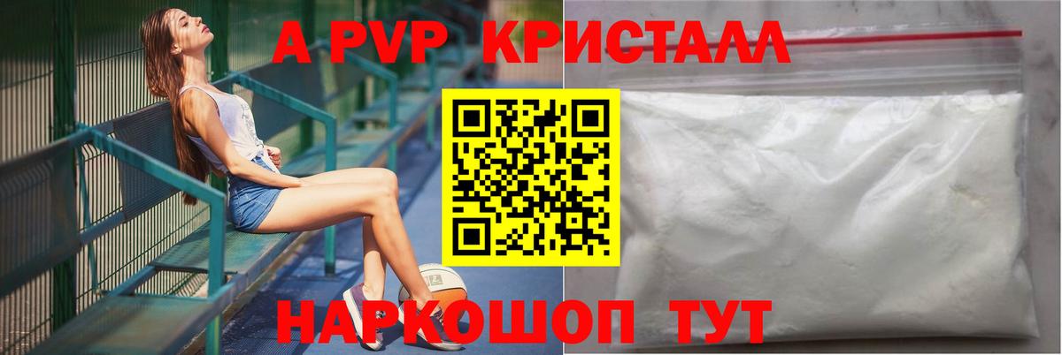 A-PVP СК КРИС Бердск