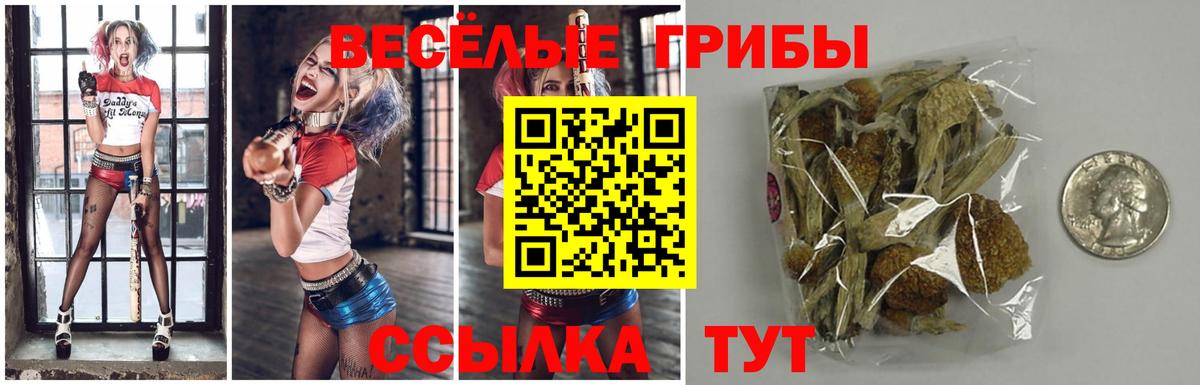 Псилоцибиновые грибы ЛСД  Вход с VPN  Бердск 